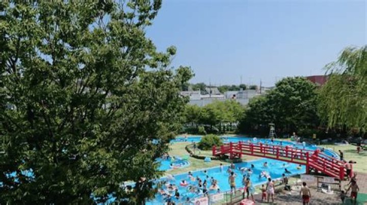 菊名池公園プール完全ガイド｜アクセス・料金・混雑の見方