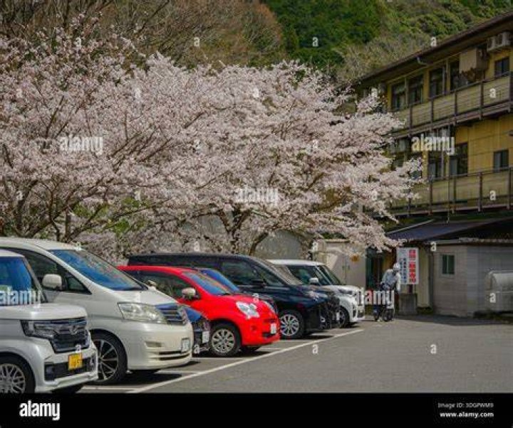 奈良 登 大路 自動車 駐 車場を賢く選ぶ：場所・料金の見方・注意点