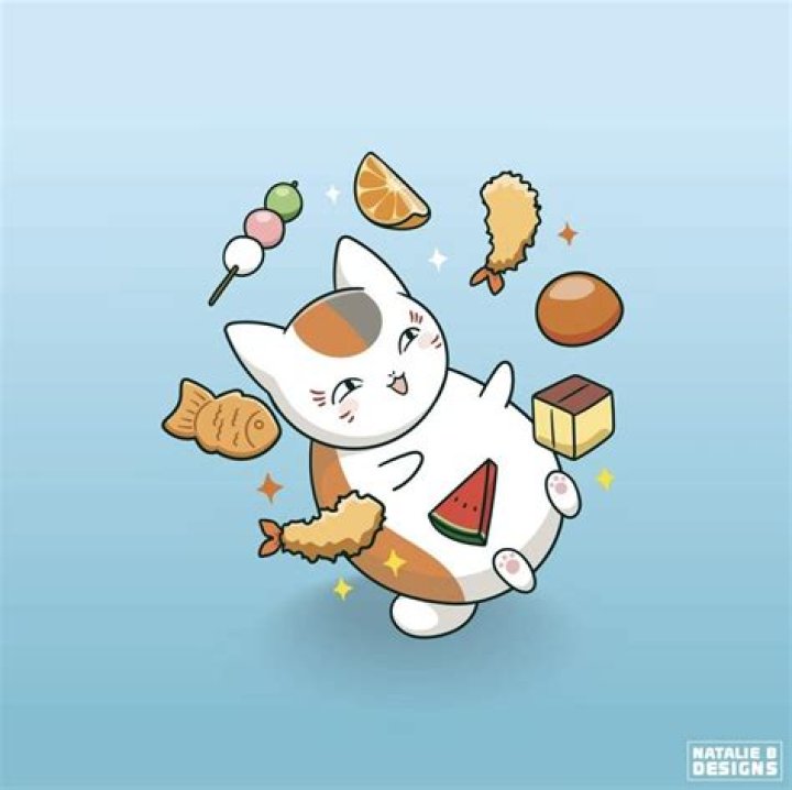 「にゃんこ 大戦争 風雲！にゃんこ塔」攻略の見取り図──序盤から勝ち筋へ