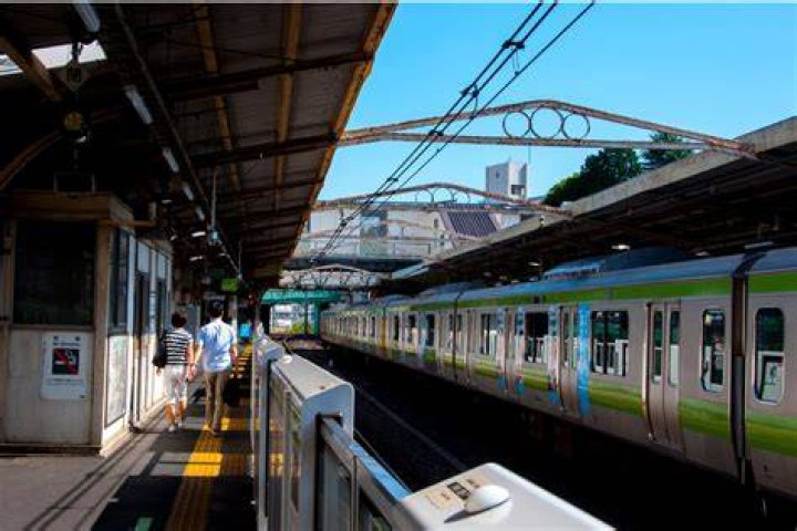 湘南から新宿へ「ライン グリーン車」：乗り方と選び方の実用ガイド