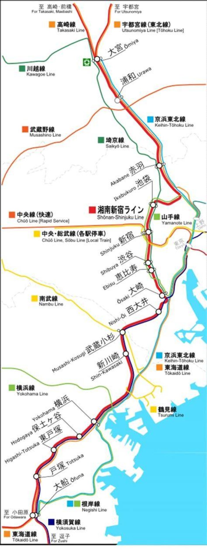 湘南〜新宿を結ぶライン時刻表：探し方と最新確認のコツ