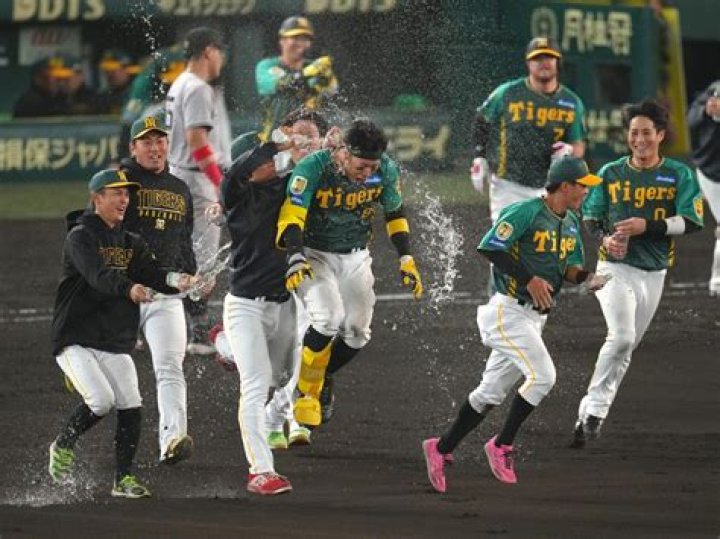 読売ジャイアンツ 対 阪神タイガース 試合：見どころと試合の読み方